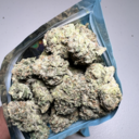 Candy Land (Indoor Premium)