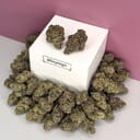Zkittlez-Exotic A+