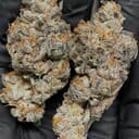 Durban Biscotti