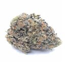 Blue OG sherbet (AAA)