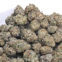 Platinum bubba TOP SHELF