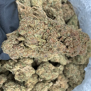 Tangie +A (Sativa)