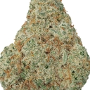 AMNESIA HAZE (TOPSHELF)