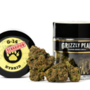 G-14 CLASSIFIED (3.5G) [H]