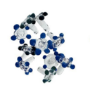 Glass Screens - Stars/Daisies 10 Pack