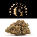 Grandiflora | Melonatta premium indoor flower 3.5g | 24.56% THC