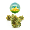 Lemon Cap | Sativa