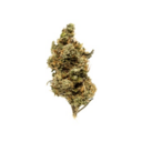 (MED) Redbud Roots | Sour Giesel