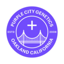 PCG Autofuel Autoflowering Fem. 3pk Seeds