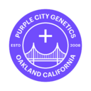 PCG Saltwater OG Autoflowering Fem. 3pk Seeds