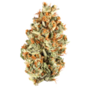 Red Headed Stranger