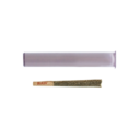 Redbud Roots | Sorbetto | Pre-Roll |