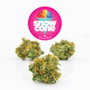 Snowcone | Sativa