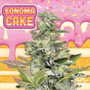 SONOMA CAKE (3.5G)[I]