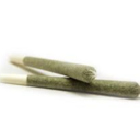 Special Occasion Pre-Rolls | 0.5g | 2pk