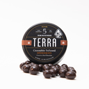 TERRA: DARK CHOCOLATE ESPRESSO BEANS 100MG