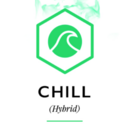 Timeless Cactus Chiller Cartridge 500mg