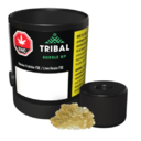 Tribal - Bubble Up Live Resin 1x1g >I