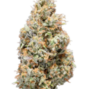 Tribal - Cuban Linx 1x3.5g >S