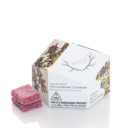 WYLD - HUCKLEBERRY GUMMIES - HYBRID - 10pk