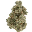 Ghost Train Haze (Sativa)