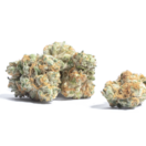 Rose OG