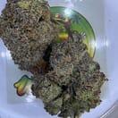 EXOTIC- BLUE RASPBERRY GELATO
