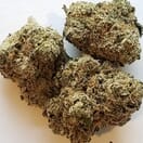 Purple Punch