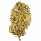 STRAWBERRY COUGH - 5 GRAMS