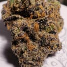 Granddaddy Purple