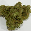 Grand Daddy Purple