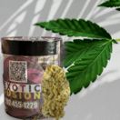 JACK HERER