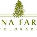 Cherry Lime - Canna Farmer Preroll