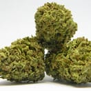 **Hashbar OG**