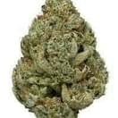 Og kush