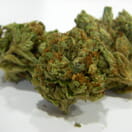 Lemon OG