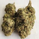 Peaches And Cream - A+ Topshelf