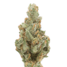 Melonball (Sativa)