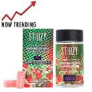 Stiiizy Watermelon Wave Nano Gummies | 100mg