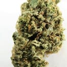 PANTY DROPPER - 5 GRAMS