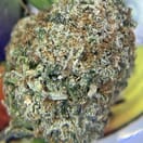 EXOTIC- LEMON CREAMSICLE