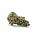 Blue Monster (top shelf)