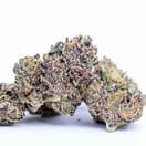 Purple urkle
