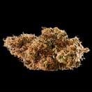 Auto Pain No More (TOP-SHELF)