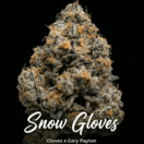 Snow Gloves