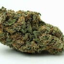 Mazar x Blueberry OG