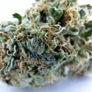 Chem 4