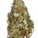 Grape Kush (TOP SHELF)