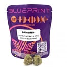 Bambino | Blueprint