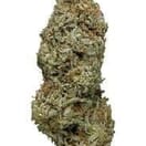 Larry OG (PREMIUM)